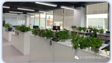 1591167603652848.png blob.png