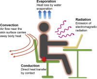 個人熱管理（Personal Thermal Management）