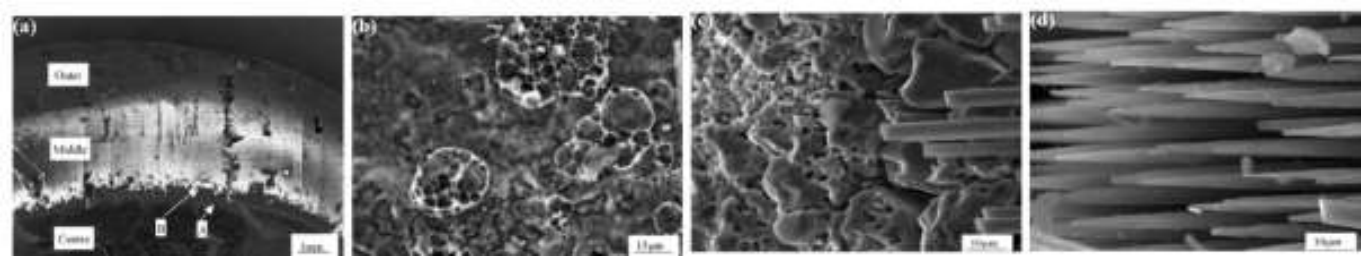 1683424259714322.png 6.png