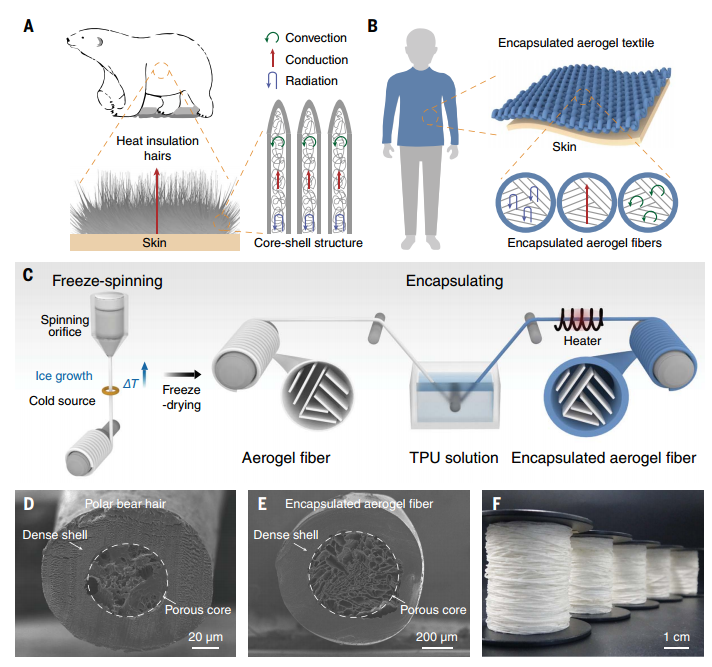具有優異機械性能的仿生氣凝膠纖維織物