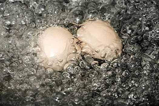 通過研究“傳熱”如何煮出完美水煮蛋？Nature報道最佳煮蛋技術