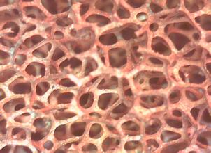 泡沫銅的應用--相變載體