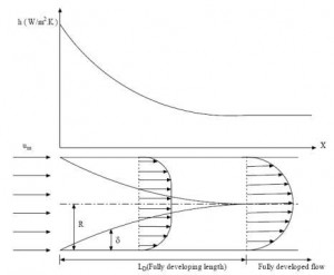  管內充分發展流